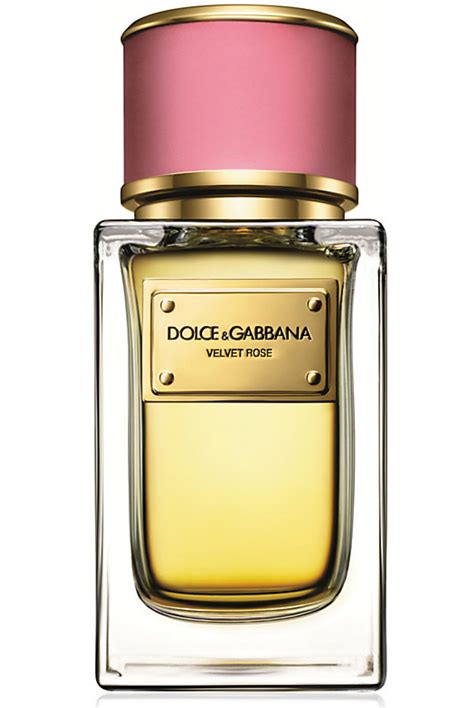 perfume da dolce gabbana feminino|dolce gabbana unisex.